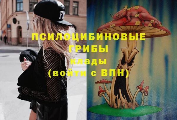 а пвп мука Богородицк