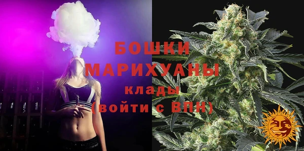 стафф Богданович