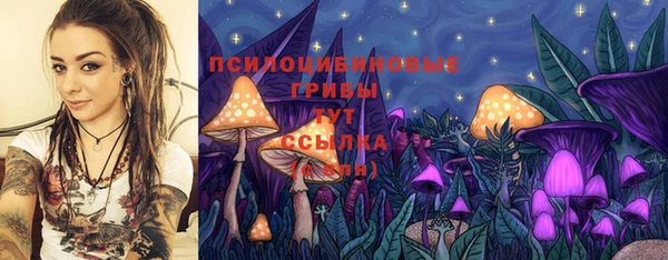 стафф Богданович