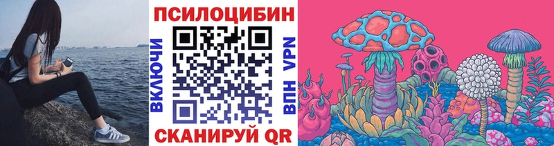 kraken ТОР  Ангарск  Галлюциногенные грибы ЛСД 